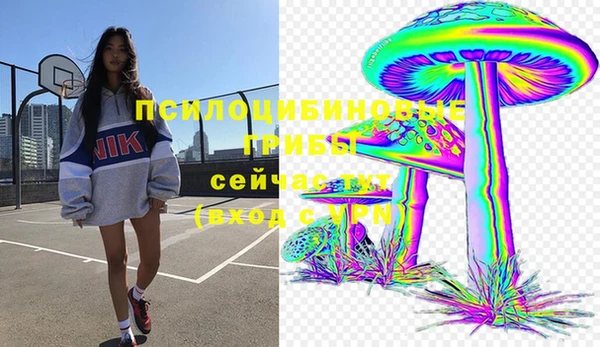 СК Алексеевка
