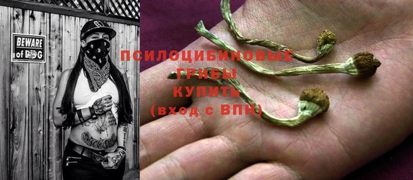 сатива Абаза