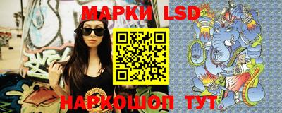 стафф Донской