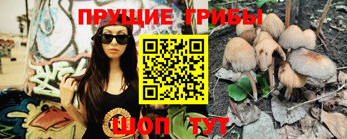 дарнет шоп  Вход с VPN  Нижнекамск  Псилоцибиновые грибы мухоморы 